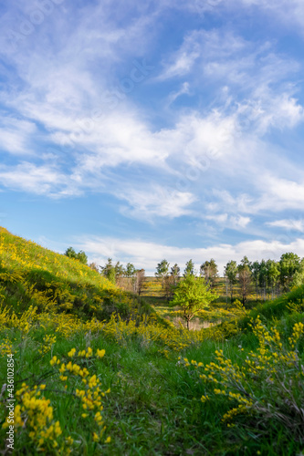 Green slopes in spring near Vasylkiv  Ukraine