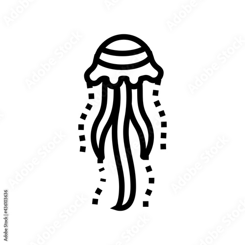 jellyfish ocean line icon vector. jellyfish ocean sign. isolated contour symbol black illustration