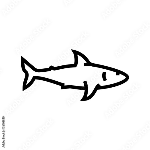 shark ocean line icon vector. shark ocean sign. isolated contour symbol black illustration