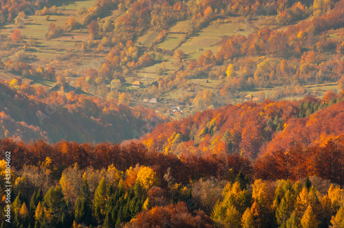 The Bieszczady color palette, a real autumn in the Bieszczady Mountains, Wołosate
