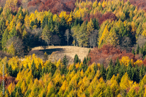 The Bieszczady color palette, a real autumn in the Bieszczady Mountains, Wołosate