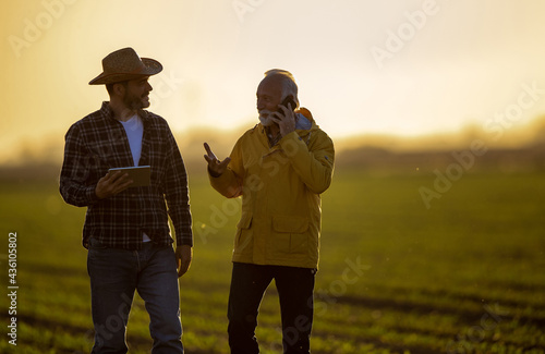 Two farmers walking in field speaking on phone at sunset photo