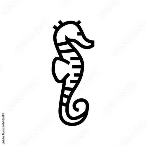 skate ocean line icon vector. skate ocean sign. isolated contour symbol black illustration
