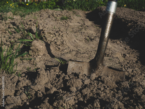 metal shovel in the ground in the garden in the spring garden during agricultural work