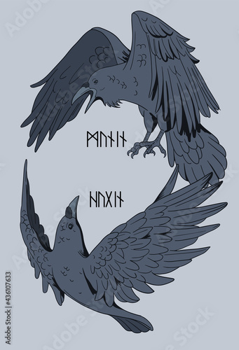 blue colored illustration with Odin's ravens