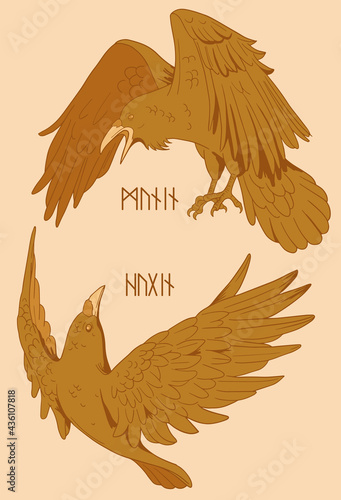 yellow illustration with Odin's ravens