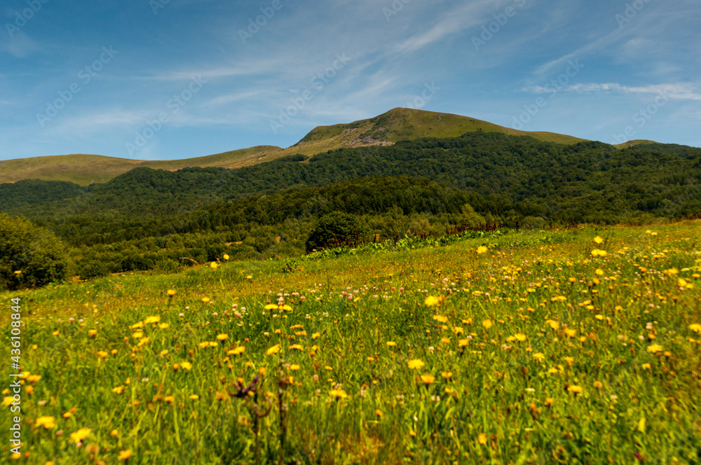 Panorama at the top of Tarnica from the trail leading to Wołosate, Bieszczady Mountains, Wołosate