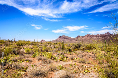 Panoramic View of a Mountain Range with the Desert in the Foreground