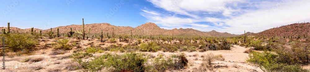 Panoramic View of a Mountain Range with the Desert in the Foreground Panoramic View of a Mountain Range with the Desert in the Foreground
