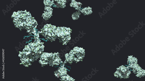 Antibody drug conjugate in green with four drug compounds linked to IgG immunoglobulin; cytotoxic green ADC against black background 3d render photo