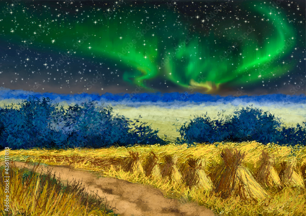 Oil paintings rural landscape. Night of the Northern Lights, landscape with a field of wheat