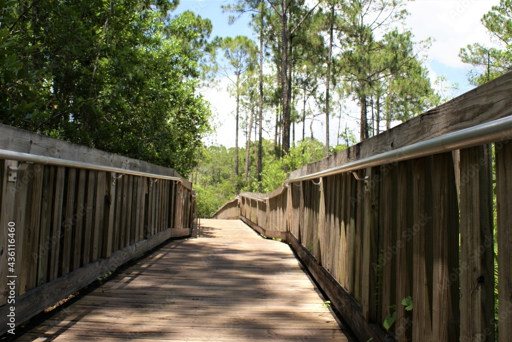 wooden path