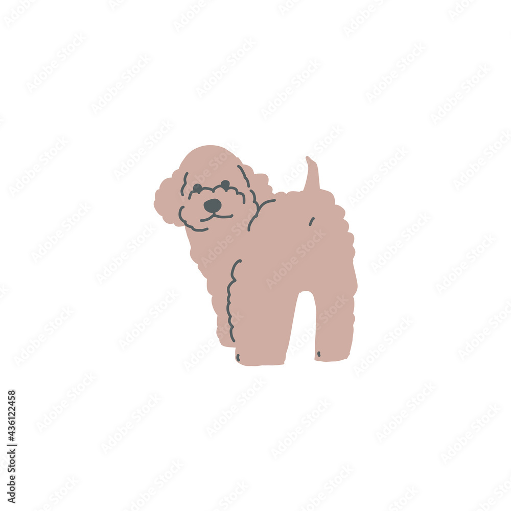 立っている一匹の茶色のトイプードルのイラスト Stock Vektorgrafik Adobe Stock 立っている一匹の茶色のトイプードルのイラスト Stock Vektorgrafik Adobe Stock