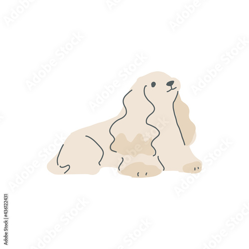 伏せをしている一匹の茶色のアメリカンコッカースパニエルのイラスト
