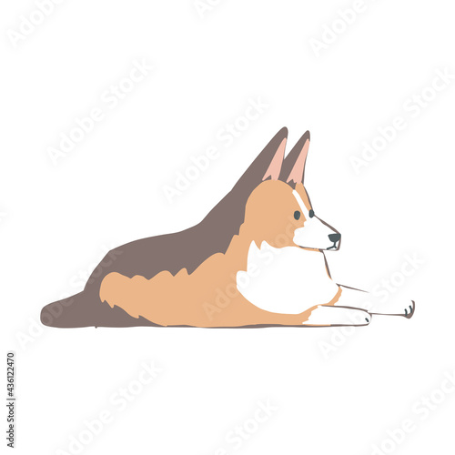 伏せをしてリラックスをしている一匹の茶色のシェットランドシープドッグのイラスト