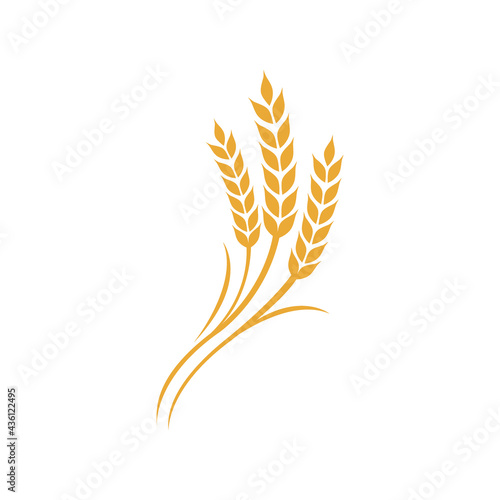 Wheat rice agriculture logo Inspiration vector