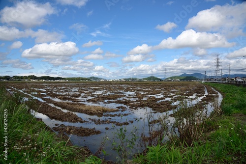 田植えのシーズン、水張りが始まった田園地帯