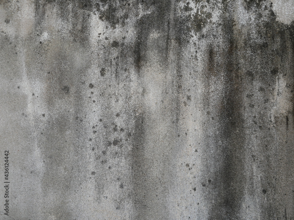 old and dirty cement wall texture background.
old and dirty cement wall texture background.