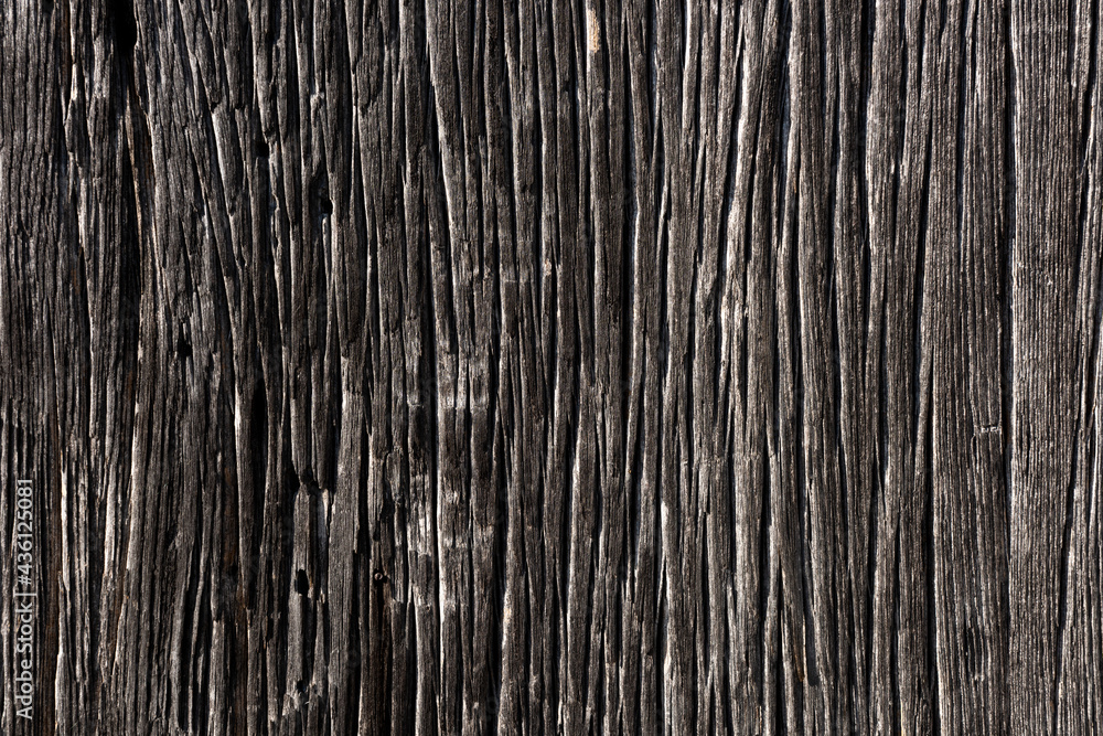 Wood with natural relief and a beautiful shine in surface used in a 400-year-old Japanese temple gate. Wood with natural relief and a beautiful shine in surface used in a 400-year-old Japanese temple gate.
