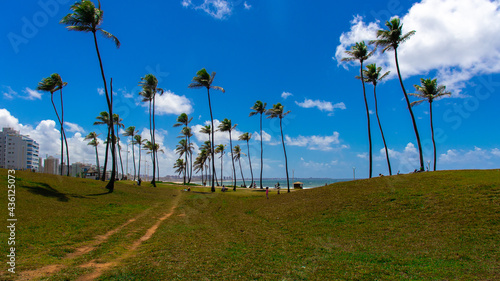 Beautiful day for fun on the beach