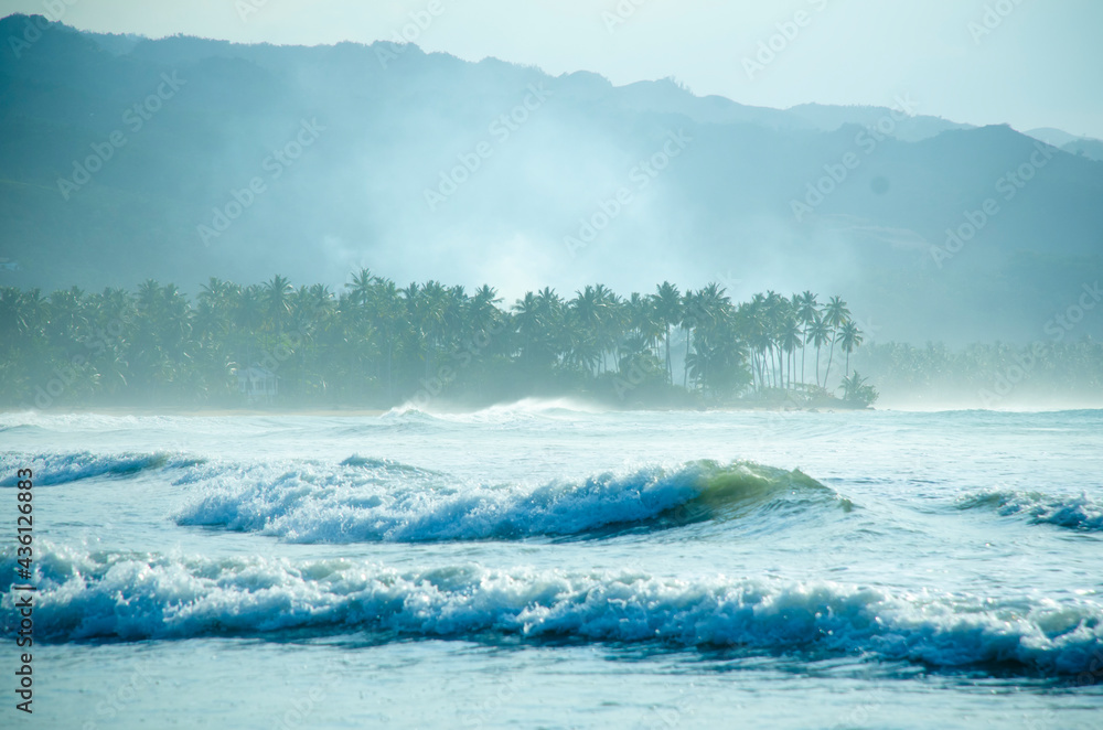 Paradise Paradise