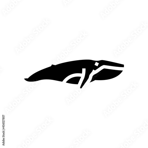 whale ocean glyph icon vector. whale ocean sign. isolated contour symbol black illustration
