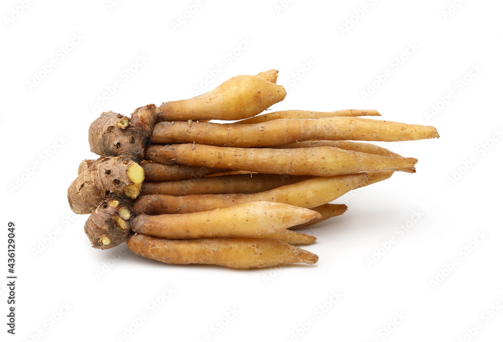 Finger root isolated on white background,White Krachai,Thai herbs against virus. Finger root isolated on white background,White Krachai,Thai herbs against virus.
