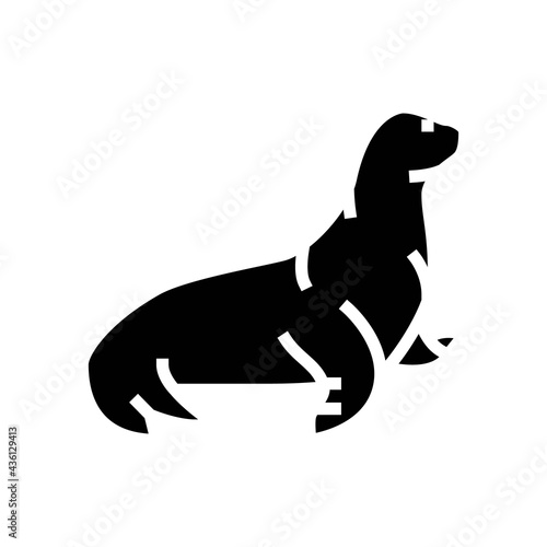 sea lion glyph icon vector. sea lion sign. isolated contour symbol black illustration