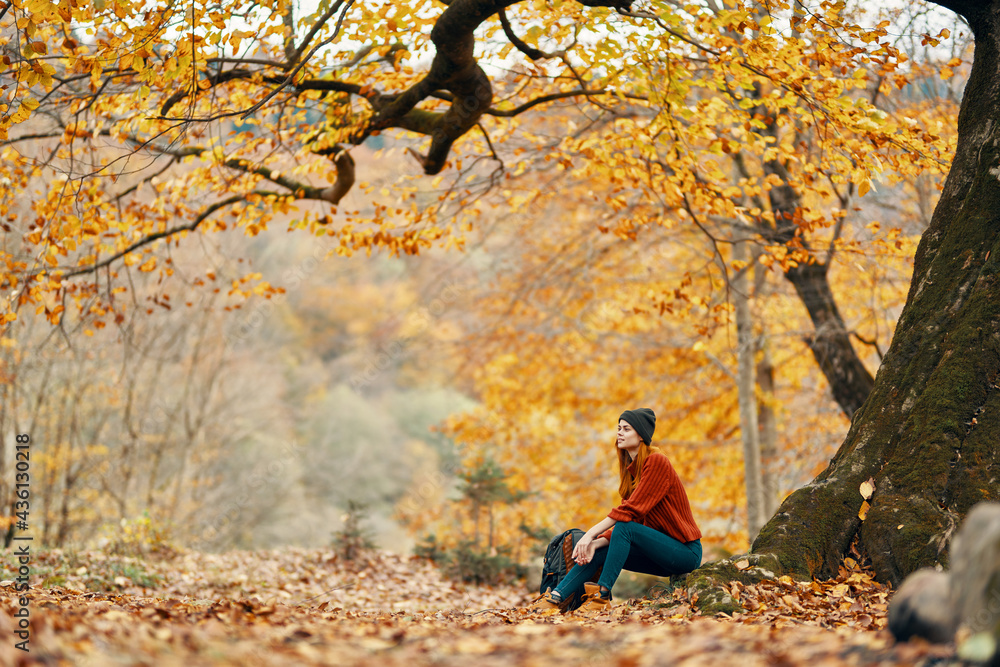 Naklejka premium woman with backpack in autumn forest sitting near tree landscape fresh air park
