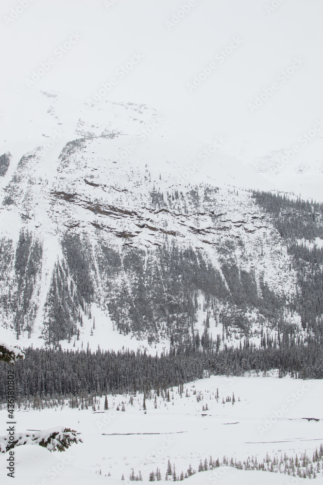 Snow Mountain Forest Landscape
