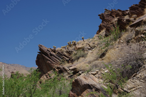 Scenic view of rock formations and tree tips under blue sky in a California desert mountain range