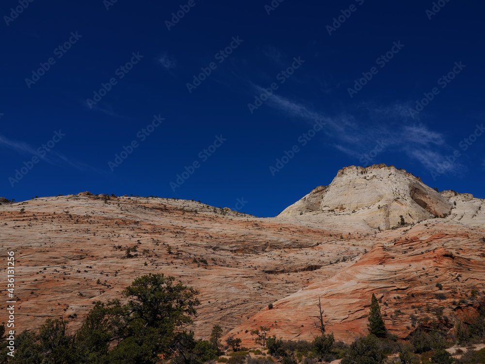Fototapeta premium Magnificent scene in Zion National Park