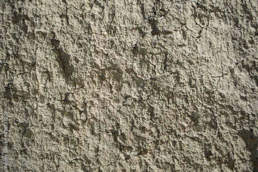 Texture for the background. Wood and stone. Texture for the background. Wood and stone.