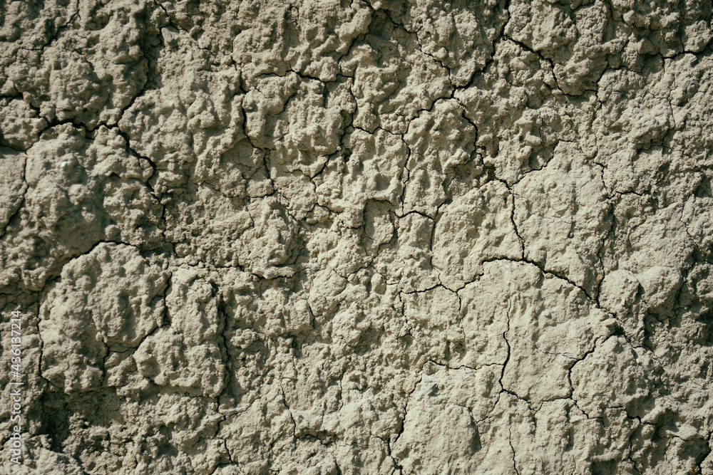 Texture for the background. Wood and stone. Texture for the background. Wood and stone.