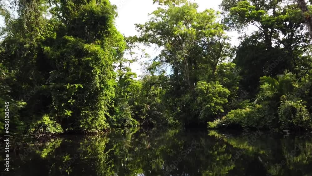 Aerial drone shot: the Tortuguero Canals in Costa Rica; moving inside the trees, over the water; looking like the Amazons' jungle. Aerial drone shot: the Tortuguero Canals in Costa Rica; moving inside the trees, over the water; looking like the Amazons' jungle.