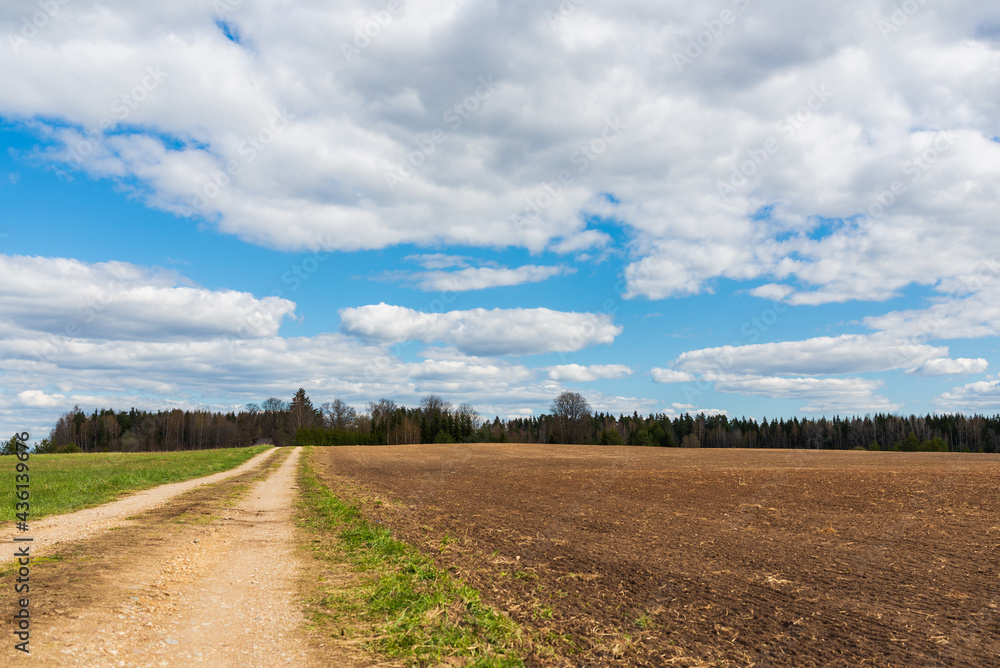 Rural countryside Road lane and blue sky,white cloud. Nature design. Rural countryside Road lane and blue sky,white cloud. Nature design.