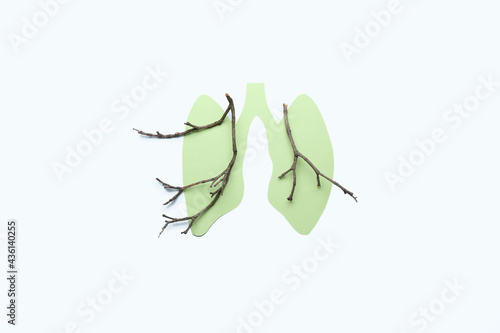 Human lungs with tree branc...