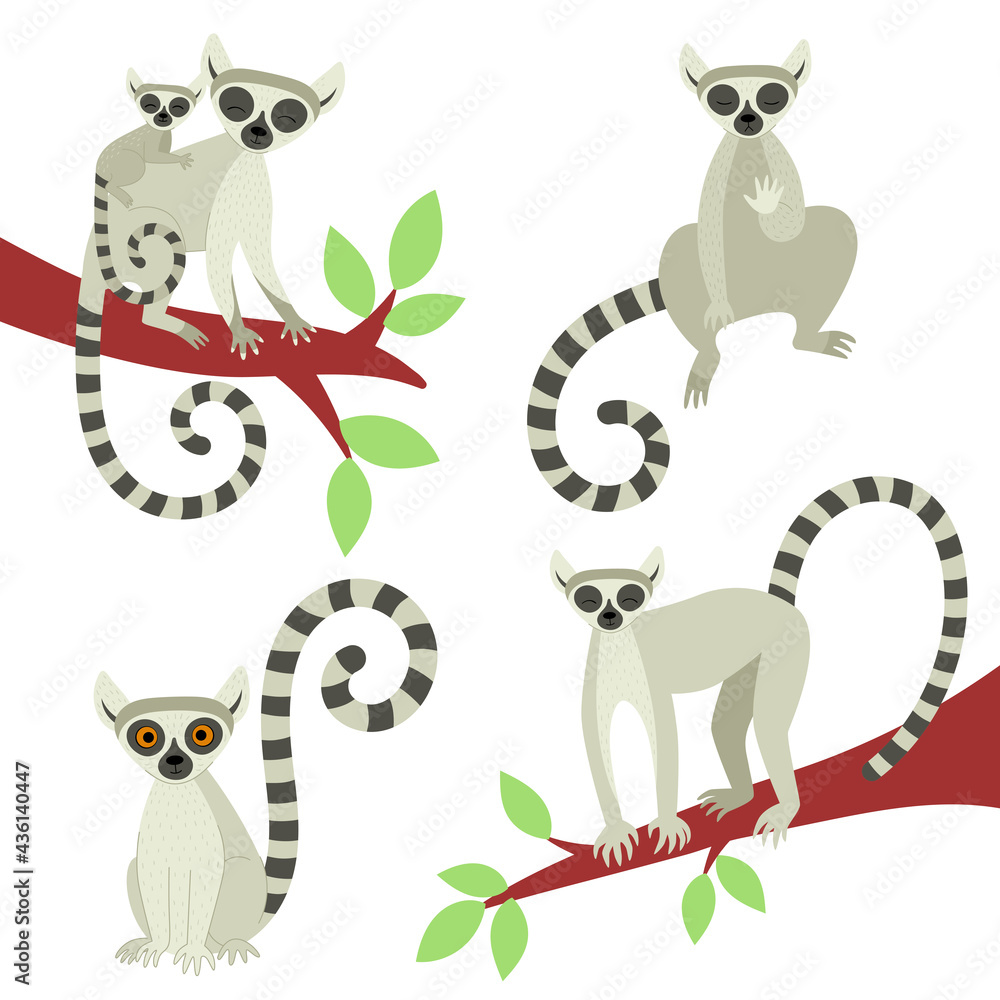 A set of lemurs in different poses. Exotic cute animals of madagascar and africa. Vector illustration in flat style A set of lemurs in different poses. Exotic cute animals of madagascar and africa. Vector illustration in flat style