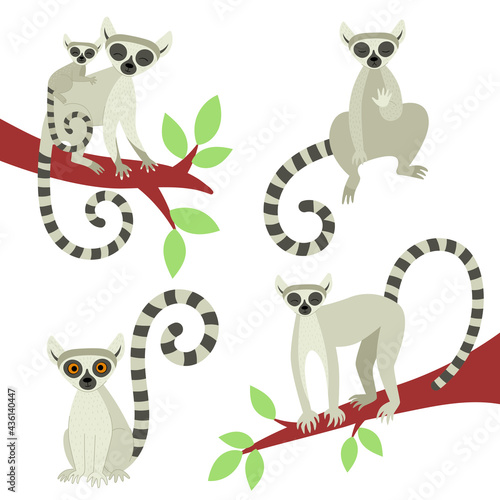 A set of lemurs in different poses. Exotic cute animals of madagascar and africa. Vector illustration in flat style