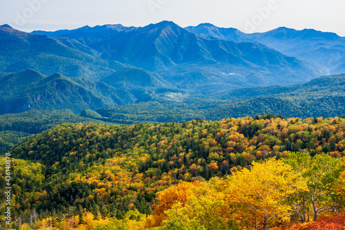 大雪山国立公園黒岳の紅葉