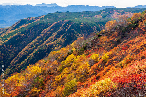 大雪山国立公園黒岳の紅葉