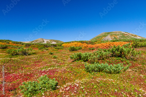 大雪山国立公園黒岳お鉢めぐりの紅葉