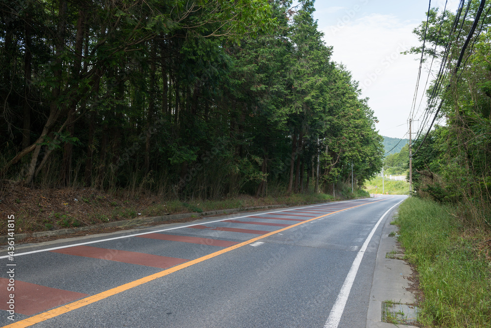 国道370号線 国道370号線
