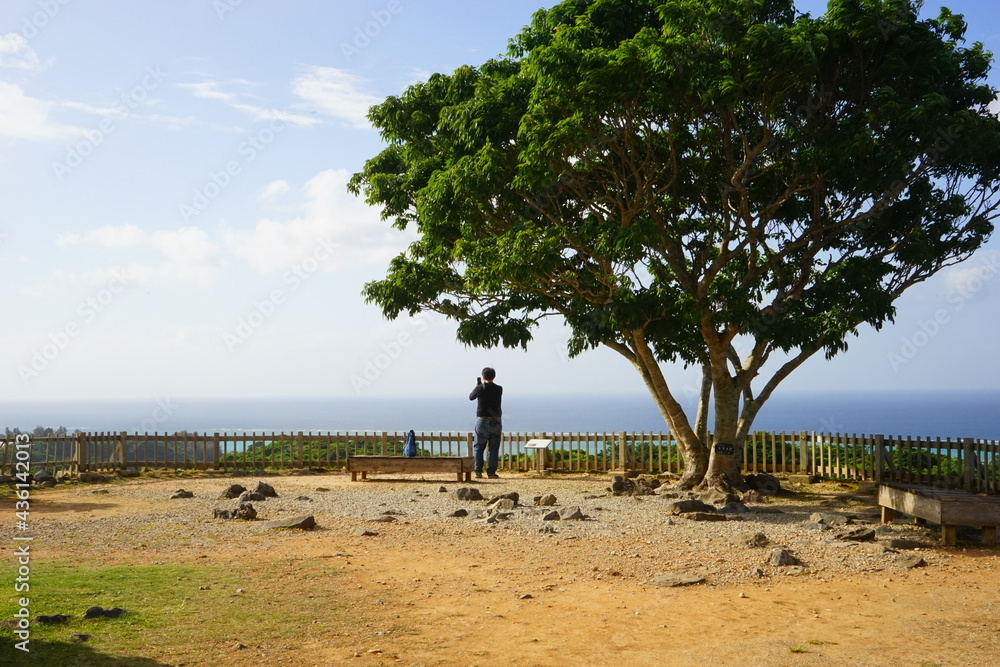 Fototapeta premium Aerial view of Nakijinjo castle ruins and the stone wall in Okinawa, Japan - 日本 沖縄 今帰仁城跡 城壁