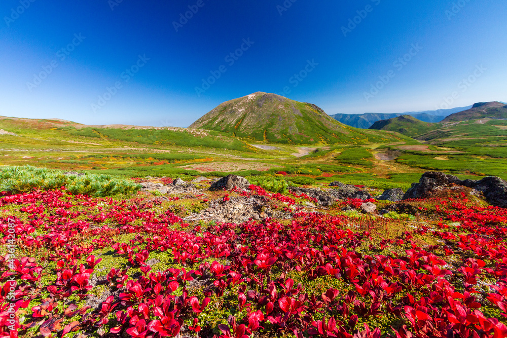 大雪山国立公園黒岳お鉢めぐりの紅葉
