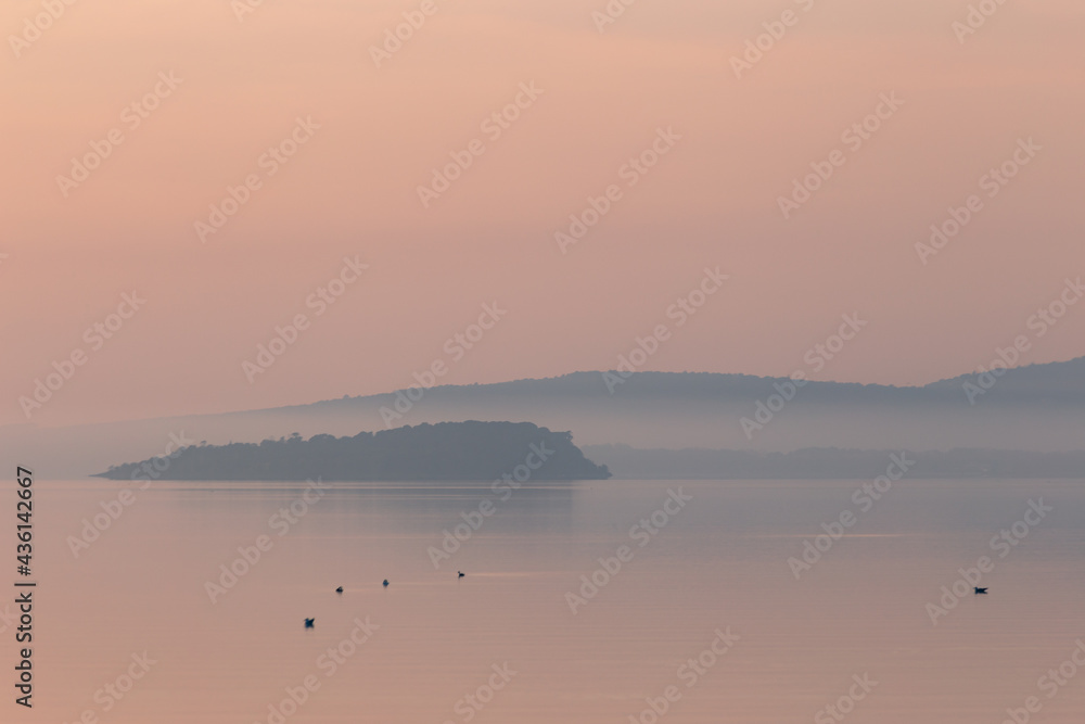 Birds on water with an island in the background at dusk Birds on water with an island in the background at dusk