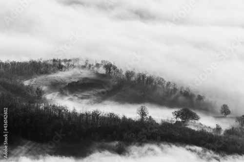 Hills and trees at dawn trough the mist and fog