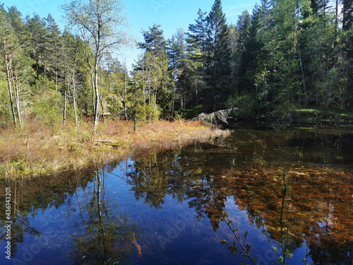 Beautiful view of trees and sky reflecting in the Farris Lake in Larvik, Norway photo