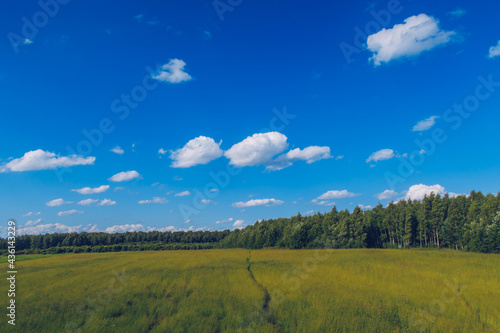 Path in the field grass. Meadow picturesque summer landscape with clouds on blue marvelous sky view background. Green grassland countryside stock photo.