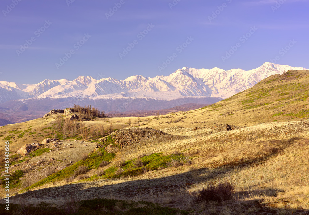 The North-Chui range in the Altai Mountains. A rocky slope in the Kurai steppe, snow-capped mountains in the distance under a blue sky. Pure Nature of Siberia, Russia